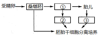 图片_x0020_100003