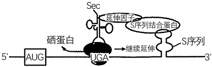 图片_x0020_100002