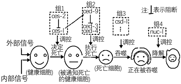 图片_x0020_100002