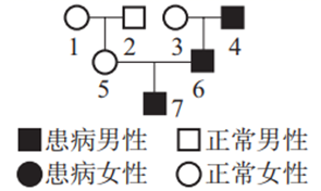 图片_x0020_100004