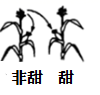 图片_x0020_402058406