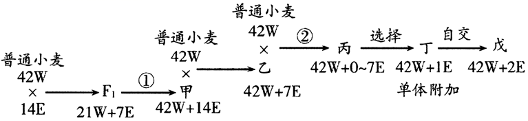 图片_x0020_100004