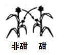 图片_x0020_2058339905