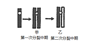 图片_x0020_100016