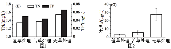 图片_x0020_100008