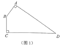 图片_x0020_100031