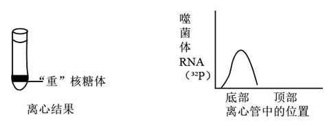 图片_x0020_100032