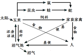 图片_x0020_100009