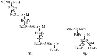 图片_x0020_100010