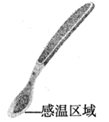 图片_x0020_100003