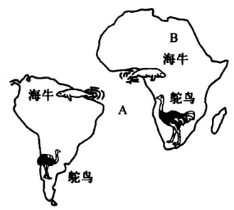 图片_x0020_100008