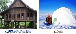 图片_x0020_719022116