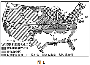 图片_x0020_1034182933