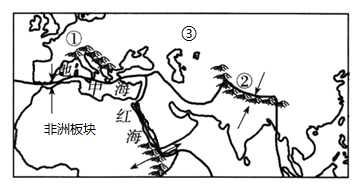 图片_x0020_501332925