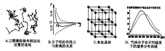 图片_x0020_1619414558