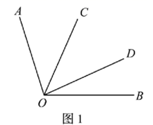 图片_x0020_100018