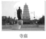 图片_x0020_100015