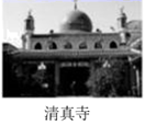 图片_x0020_100014