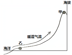 图片_x0020_320617590