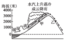 图片_x0020_100016