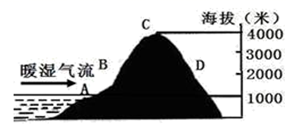 图片_x0020_1736432412