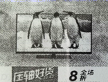 图片_x0020_100013