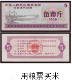 图片_x0020_100012