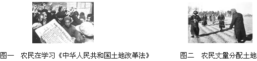 图片_x0020_772645237