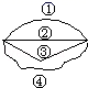 图片_x0020_100005