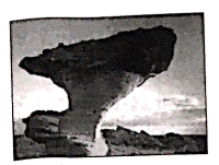 图片_x0020_100002