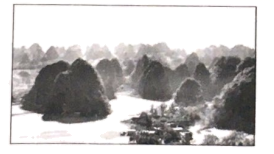 图片_x0020_100013