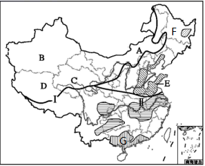 图片_x0020_100012