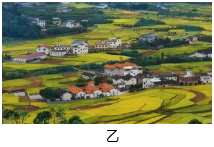 图片_x0020_100008