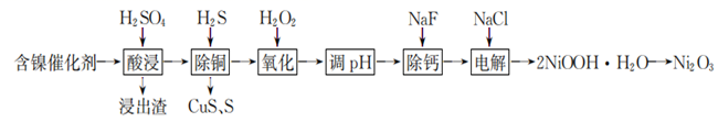 图片_x0020_100019