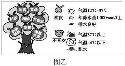 图片_x0020_100017