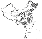 图片_x0020_100005