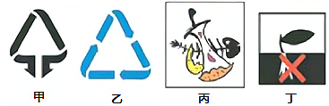 图片_x0020_100002