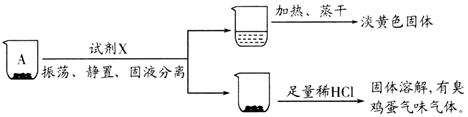图片_x0020_2006879933