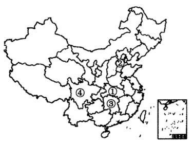 图片_x0020_100006