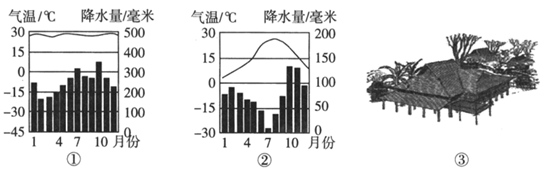 图片_x0020_100003