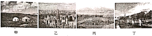 图片_x0020_100008