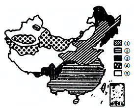 图片_x0020_100005