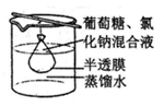 图片_x0020_1811676521
