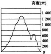 图片_x0020_100011