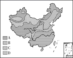 图片_x0020_100013