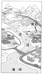 图片_x0020_100004