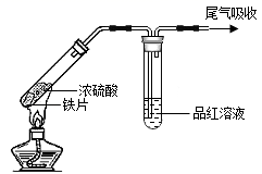 图片_x0020_100010