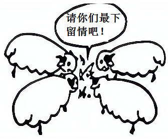 图片_x0020_605553399