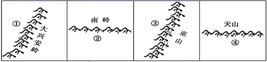 图片_x0020_496875558