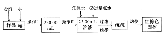 图片_x0020_100016